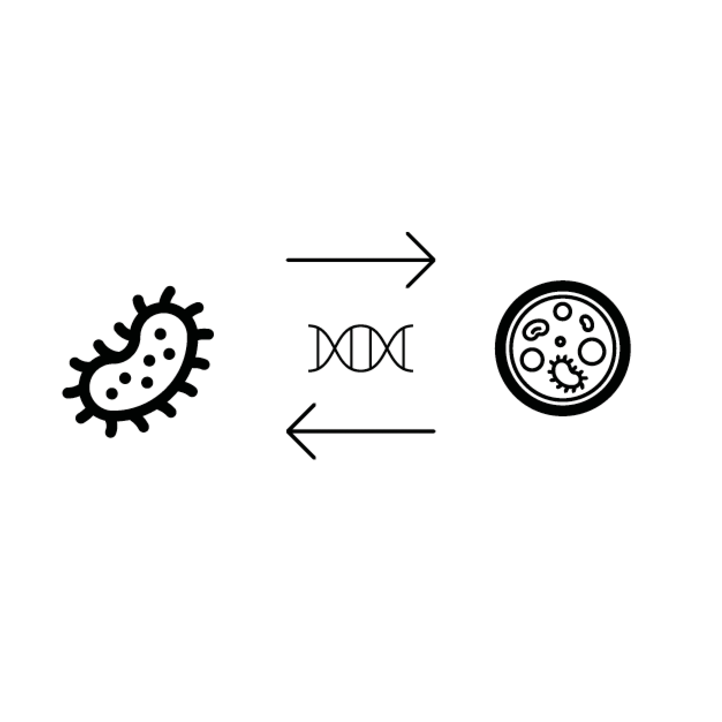 Icon explaining The Microbilome Project visually