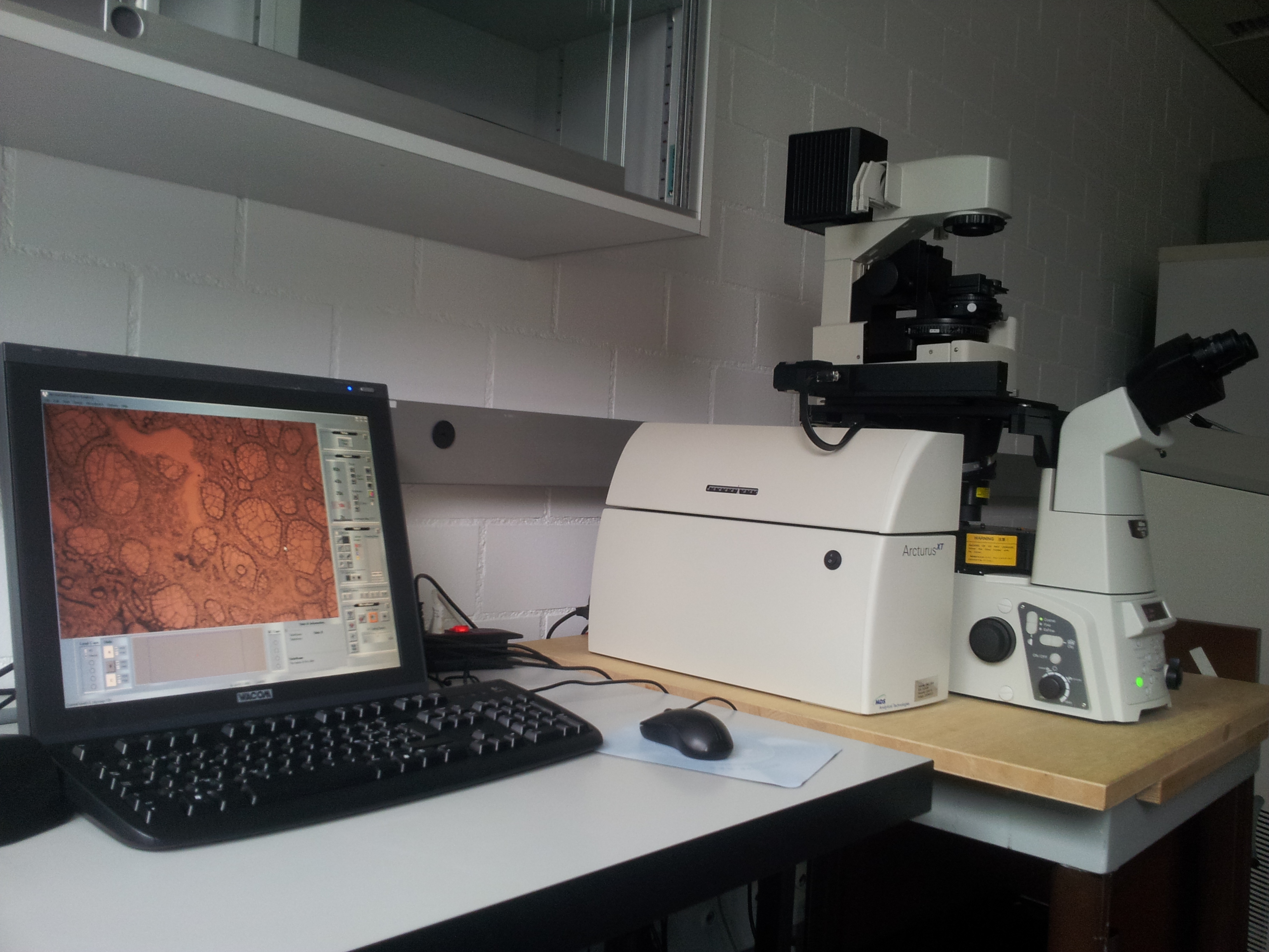 Laser Microdissection ArcturusXT